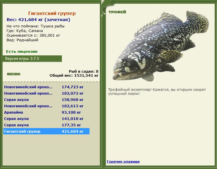 Тушка рыбы 