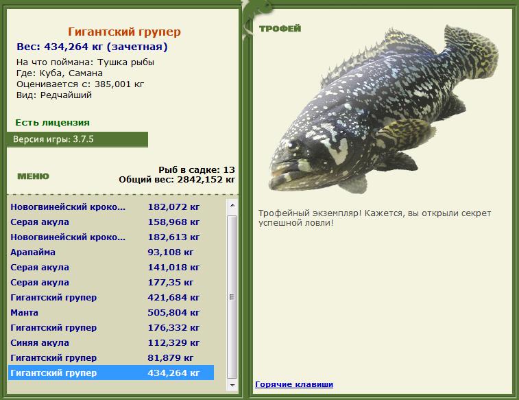 Тушка рыбы 