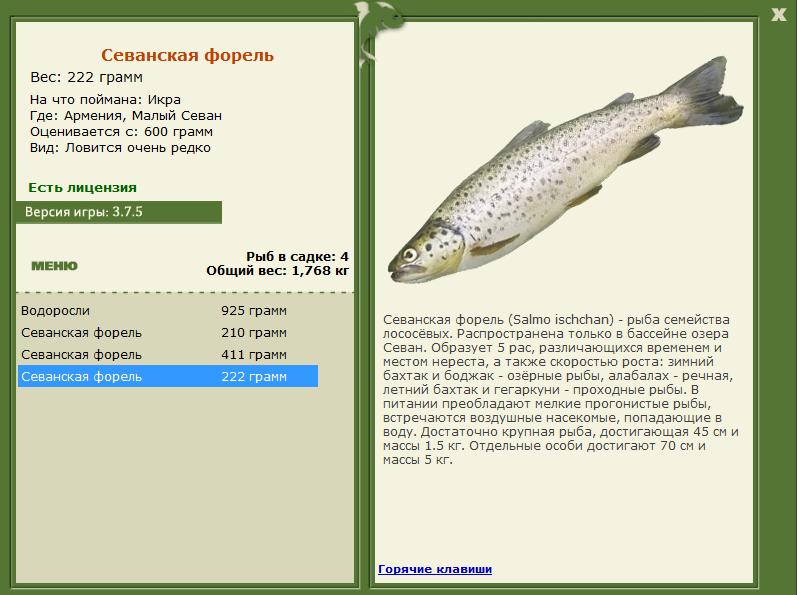 РУССКАЯ РЫБАЛКА Installsoft Edition 