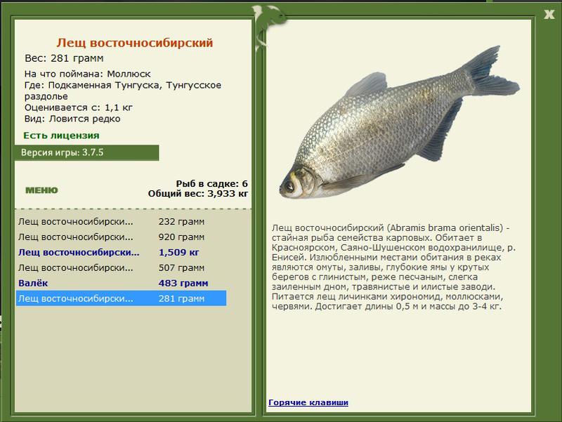 РУССКАЯ РЫБАЛКА Installsoft Edition 