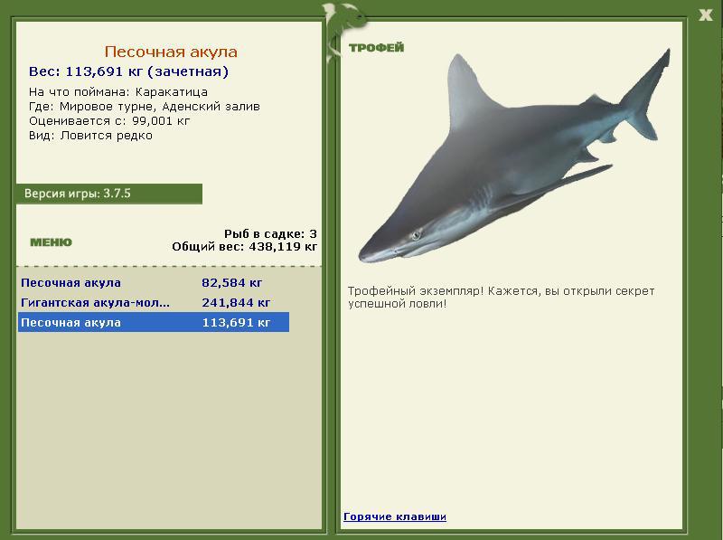 Песочная акула 
