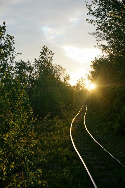 Железнодорожная фотография 