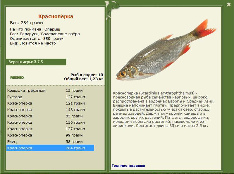 РУССКАЯ РЫБАЛКА Installsoft Edition 