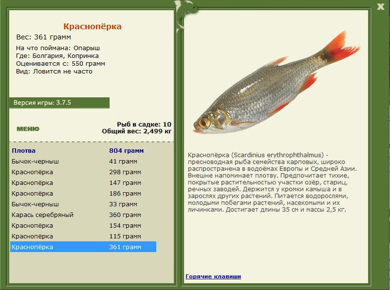 РУССКАЯ РЫБАЛКА Installsoft Edition 