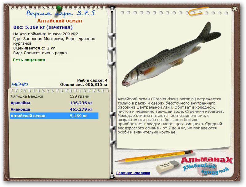 турниры • РУССКАЯ РЫБАЛКА