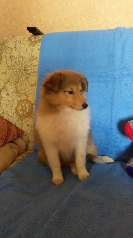  Хотим с вами дружить