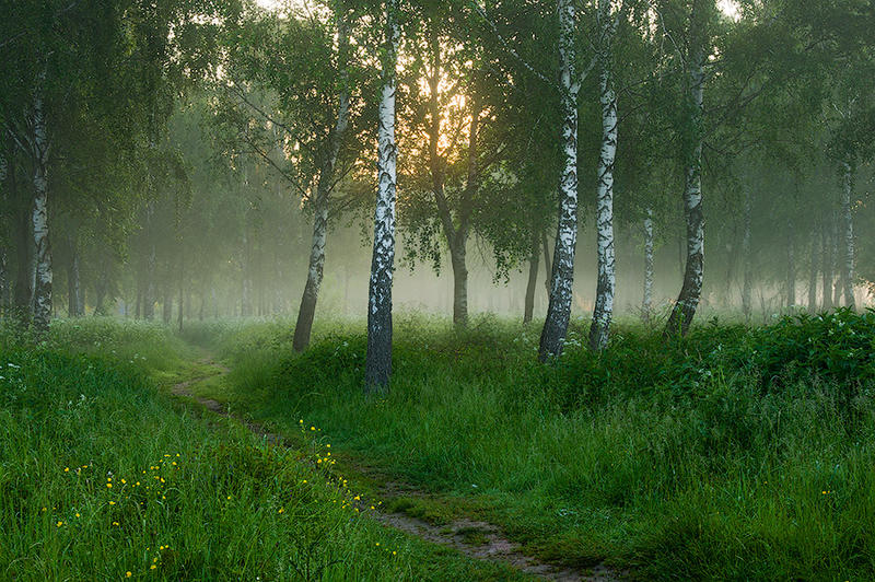 Брянский край картинки