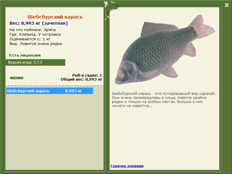 Шебсбурский карась 