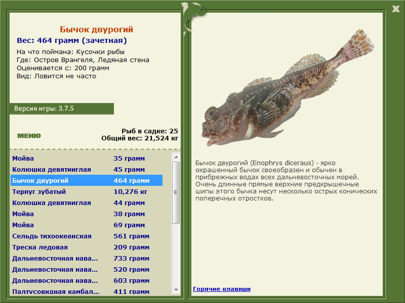 Остров Врангеля 
