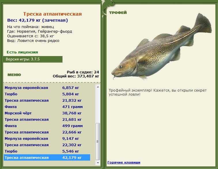 Сельдяной король 