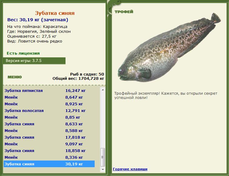 Сельдяной король 
