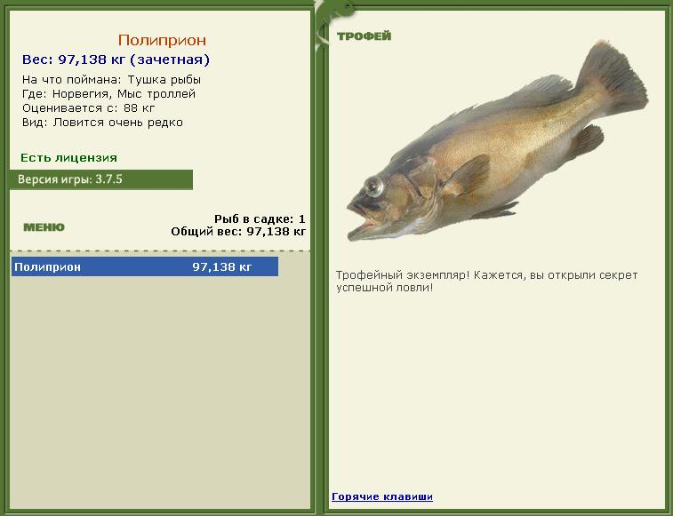 Сельдяной король 