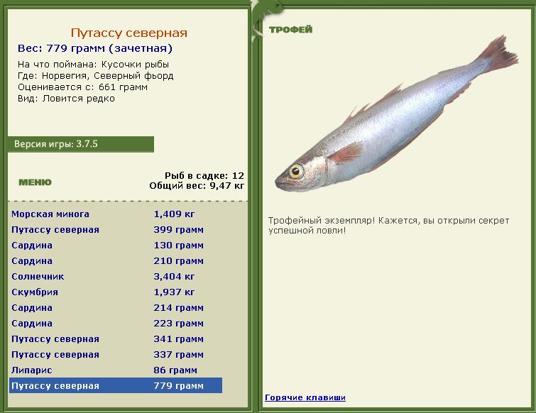 Сельдяной король 