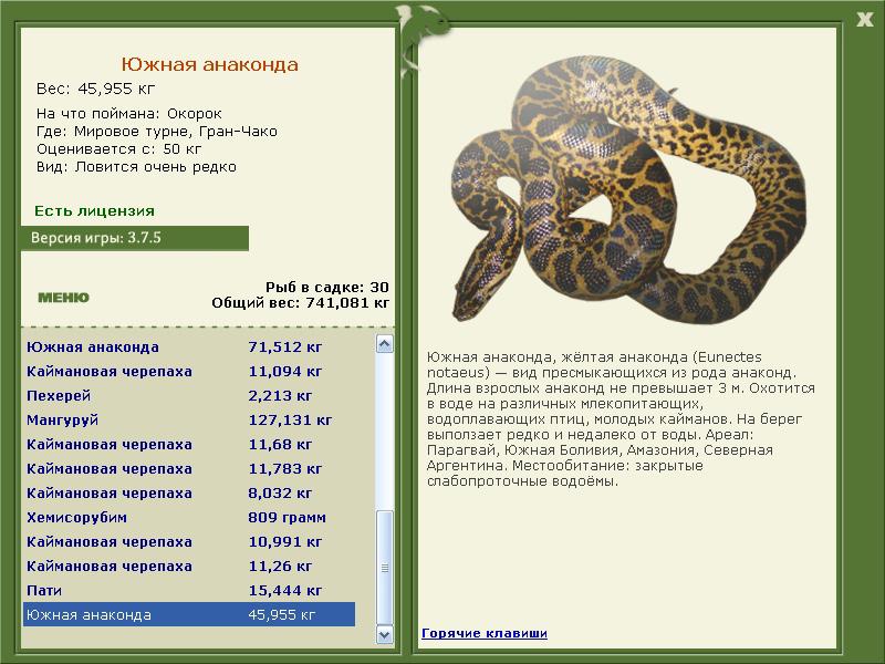  Сет • Praise-турниры • РУССКАЯ РЫБАЛКА