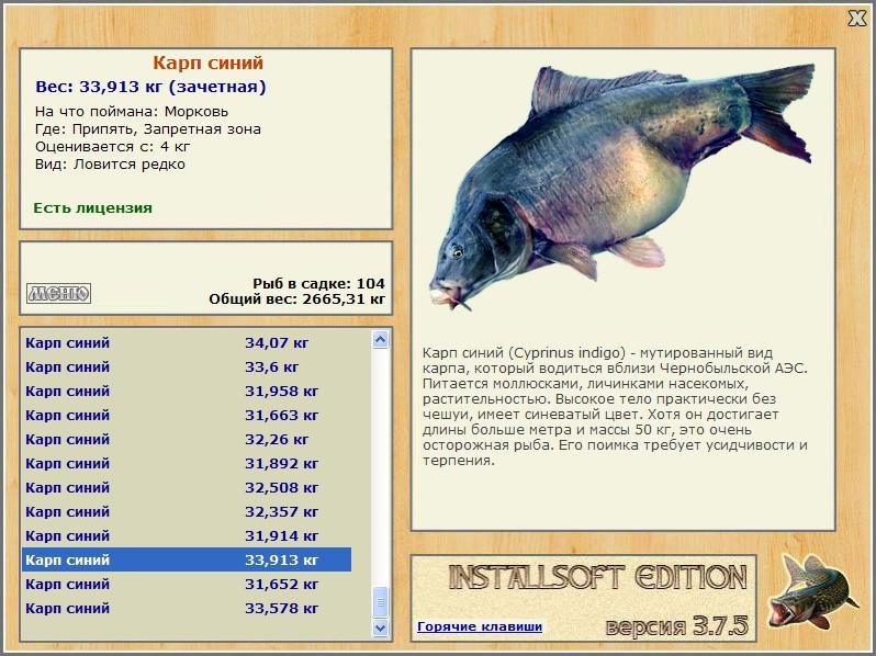  Сет • Praise-турниры • РУССКАЯ РЫБАЛКА