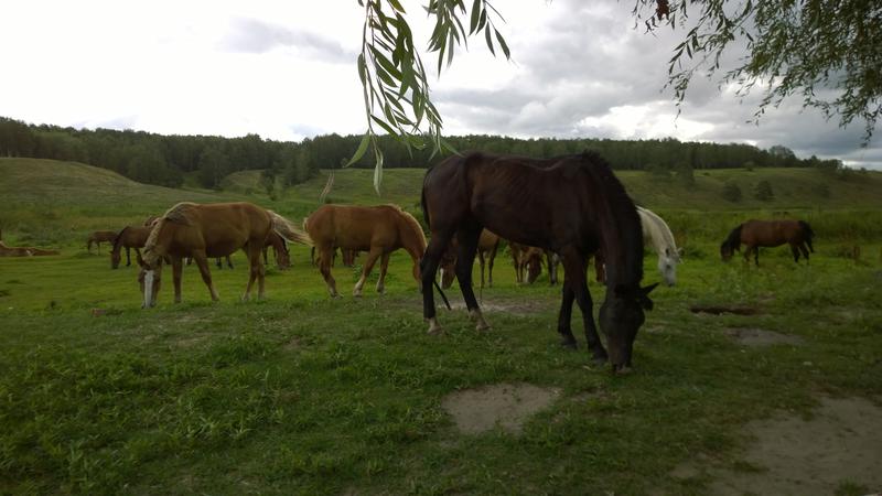 Парусный туризм 