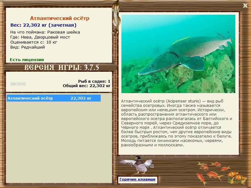 РУССКАЯ РЫБАЛКА Installsoft Edition 