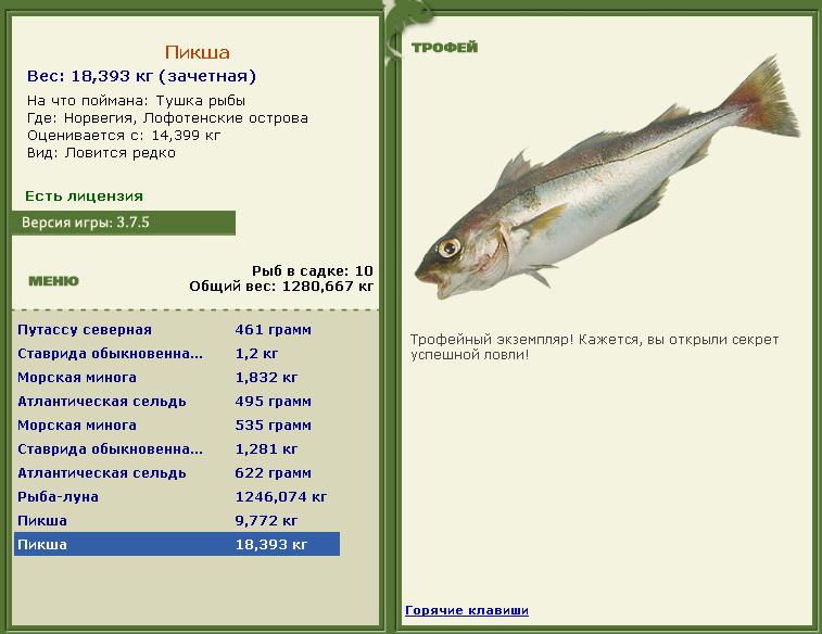 Тушка рыбы 