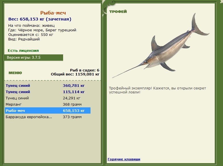 Берег турецкий 