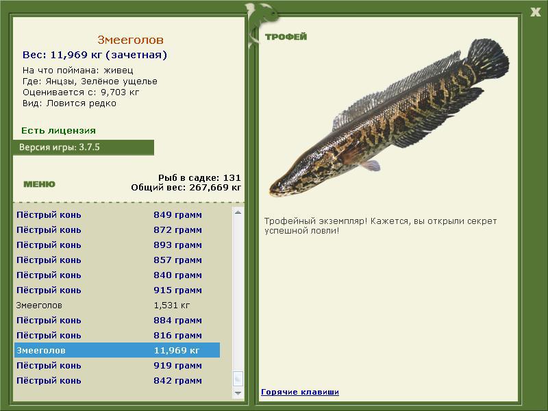 турниры • РУССКАЯ РЫБАЛКА