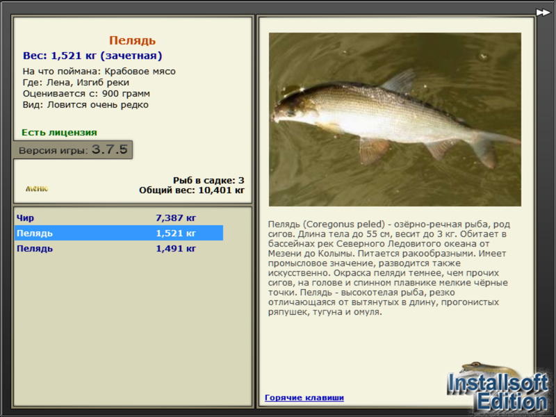 Изгиб реки 