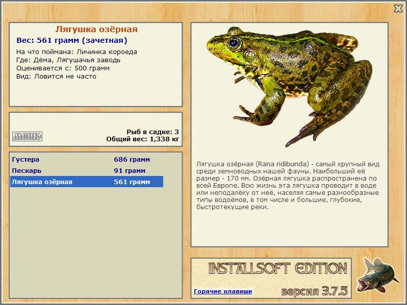Дёма 