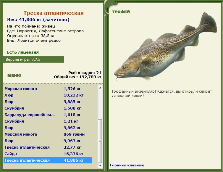 Живец 