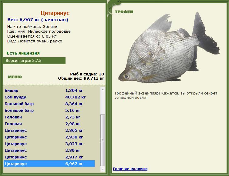 Зелень 