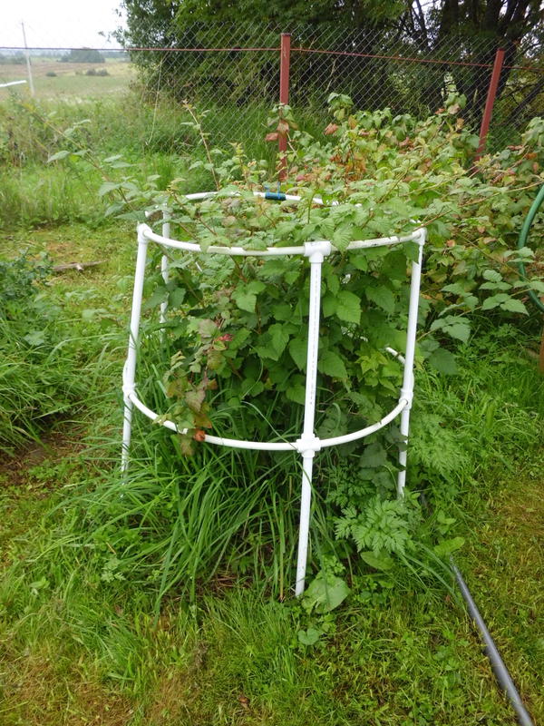 Подставки под кусты