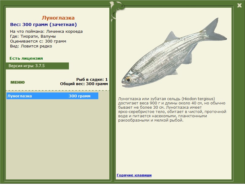 турниры • РУССКАЯ РЫБАЛКА