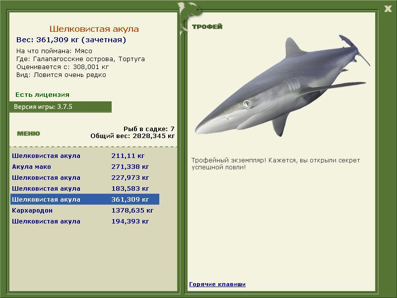 Шелковистая акула 