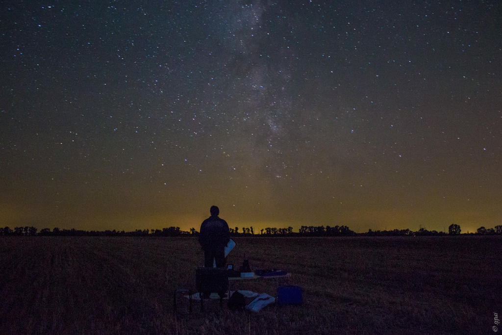 Летние наблюдения 