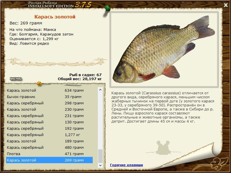 РУССКАЯ РЫБАЛКА Installsoft Edition 
