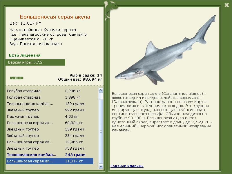  Сет • Praise-турниры • РУССКАЯ РЫБАЛКА