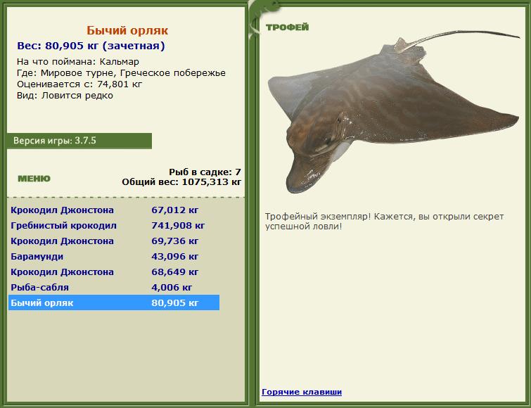 Кальмар 