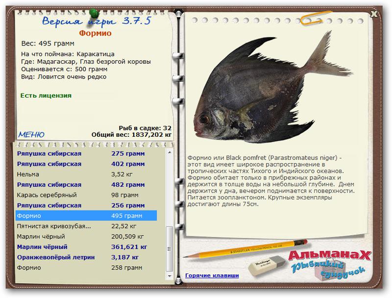 Глаз безрогой коровы 