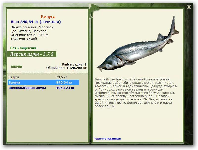 РУССКАЯ РЫБАЛКА Installsoft Edition 