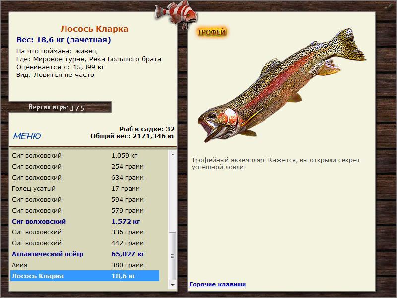 Живец 