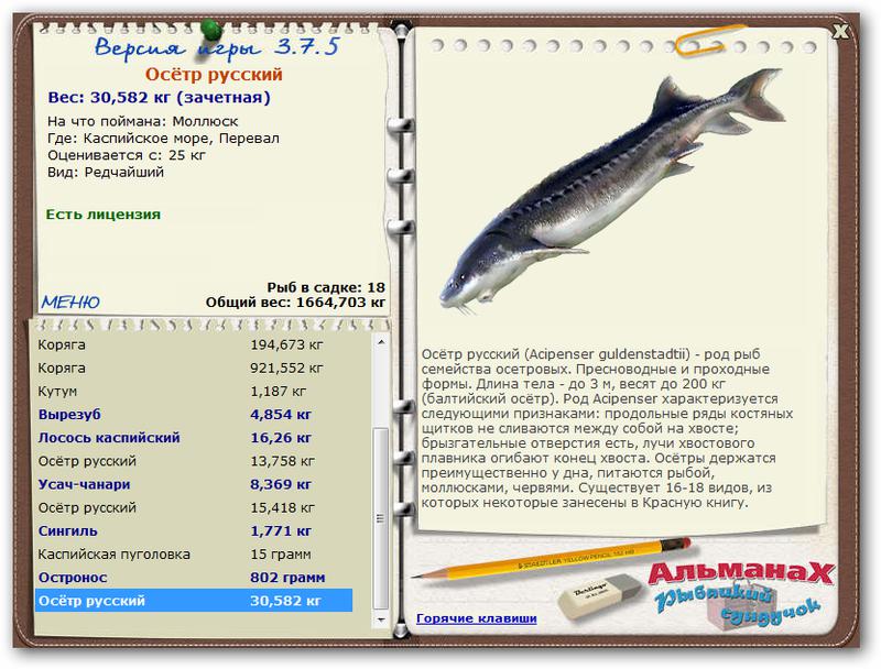 Каспийское море 