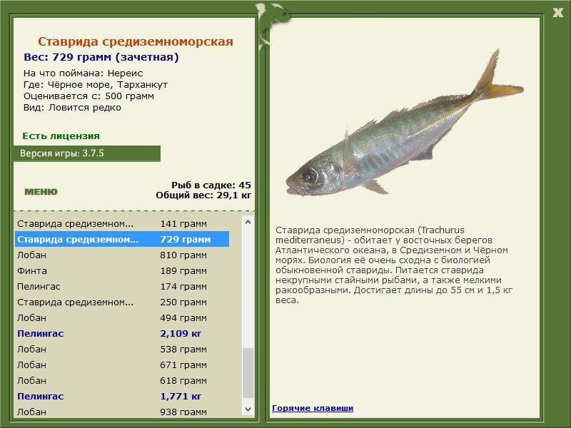 Тарханкут 