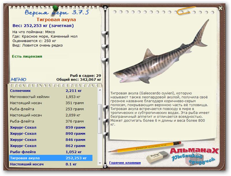Красное море 