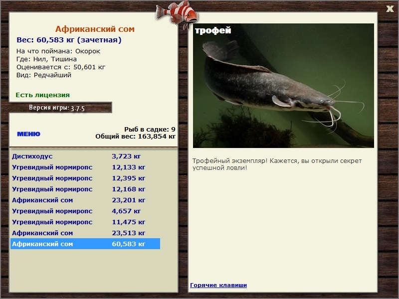 Тишина 