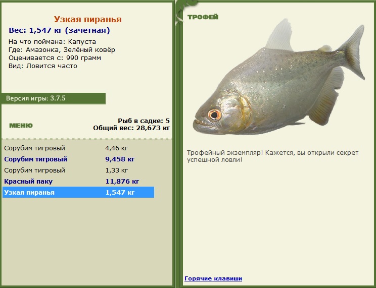 турниры • РУССКАЯ РЫБАЛКА