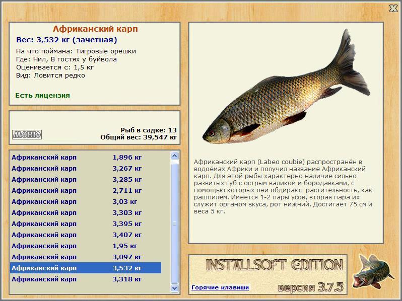В гостях у буйвола 