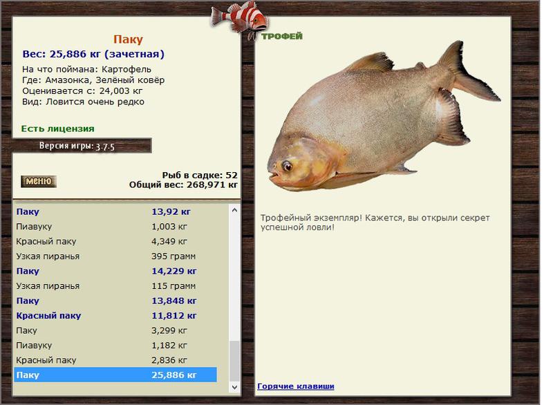 турниры • РУССКАЯ РЫБАЛКА