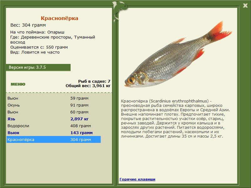 РУССКАЯ РЫБАЛКА Installsoft Edition 