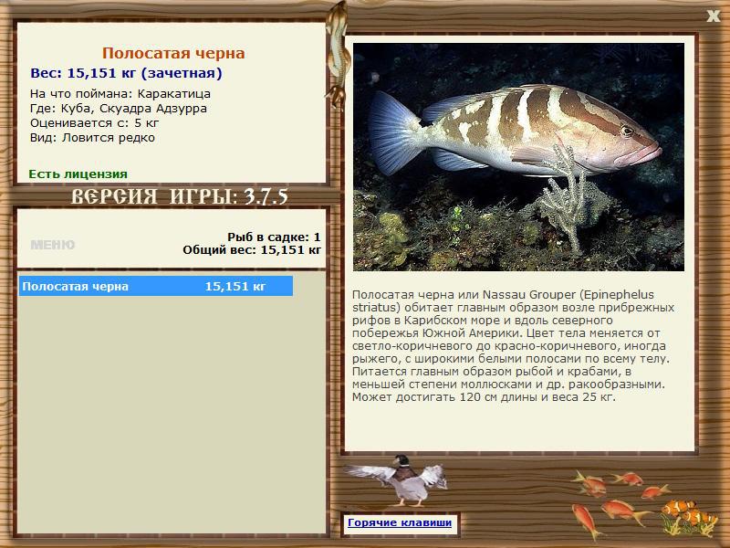 РУССКАЯ РЫБАЛКА Installsoft Edition 