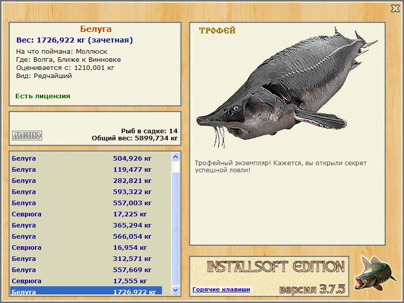 На что ловится белуга 58 фото Ast-Ohota.ru