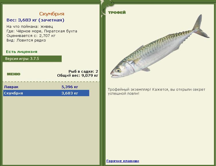 Живец 