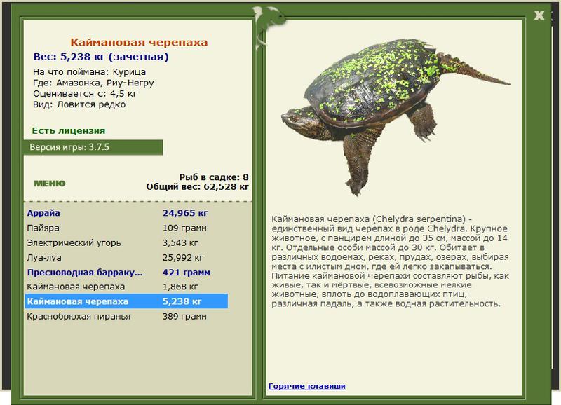 Негру • Амазонка • РУССКАЯ РЫБАЛКА